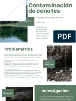 Contaminación de Cenotes