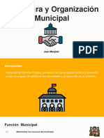 Estructura y Organizacion Municipal