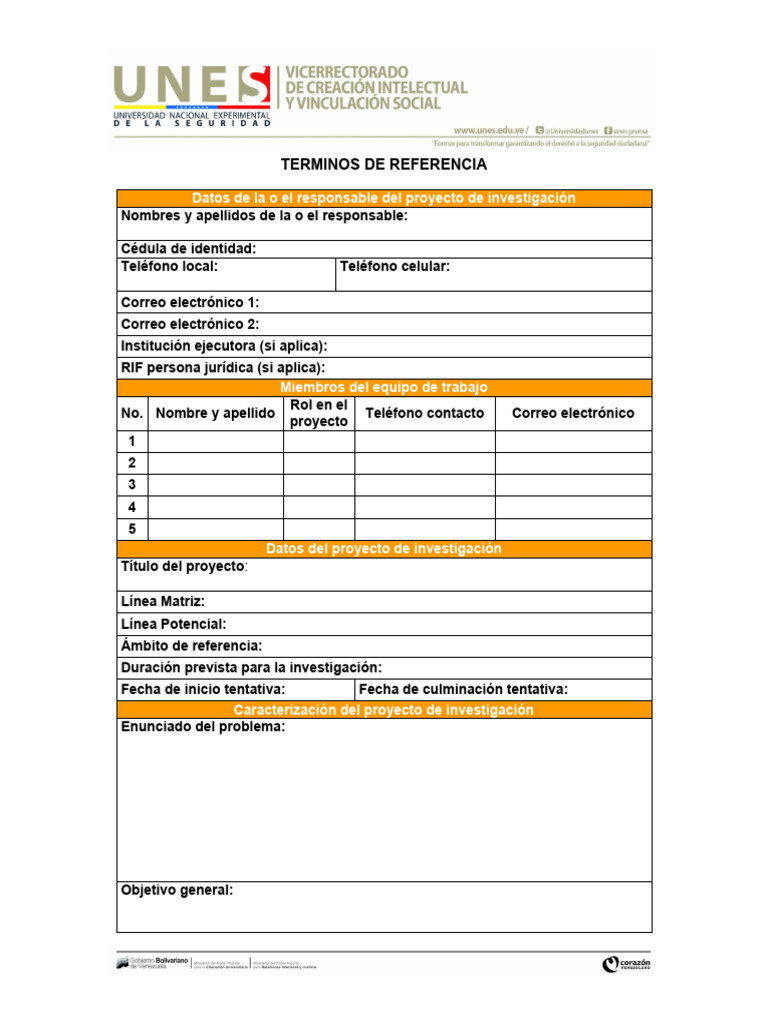 Formato de TDR | PDF