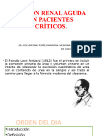 Lesión Renal Aguda en Pacientes Críticos