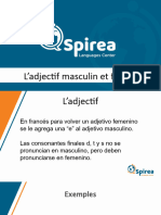 Les Adjectifs