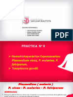 PRACTICA 9 Plasmodium y Toxoplasma
