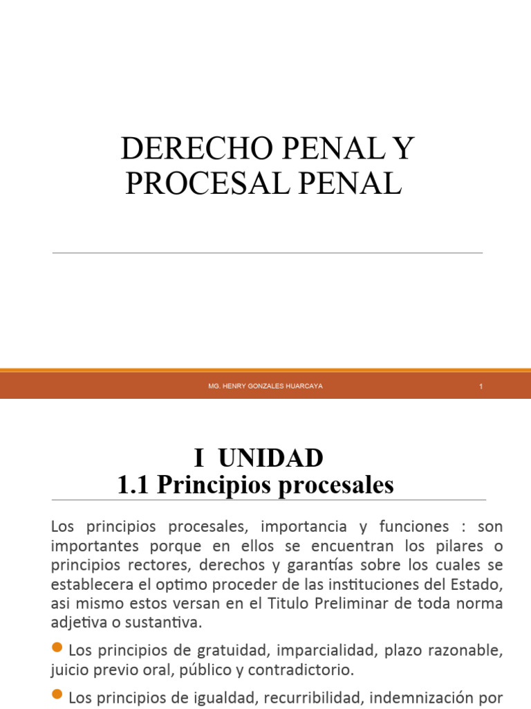 Principios del Derecho Procesal Penal | PDF | Ley procesal | Derecho penal
