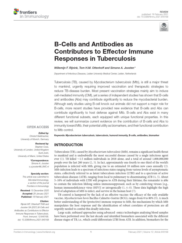 B Cells Tuberculosis | PDF