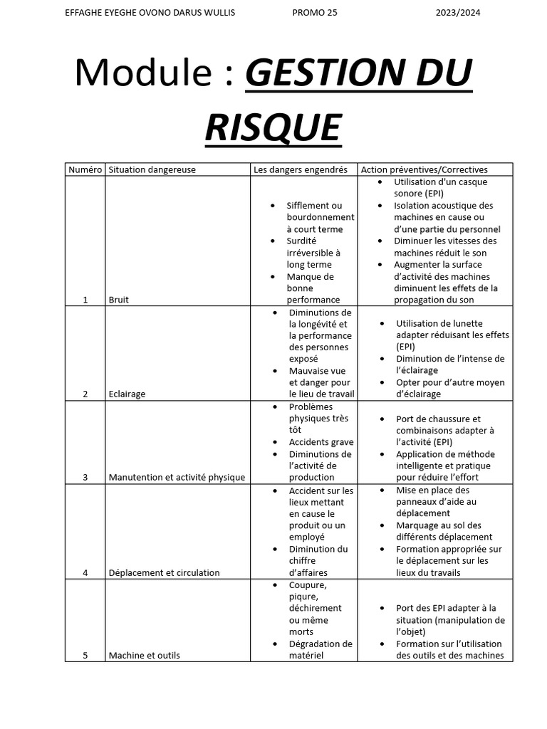Gestion des Risques au Travail 2023-2024 | PDF | Bruit