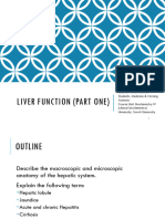 Liver Function Tests