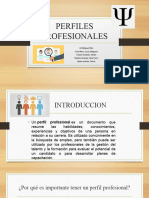 Perfiles Profesionales