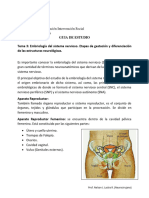 Embriologia de SNC (Tema 3) - 075253