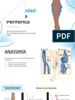 Enfermedad Varicosa Periferica