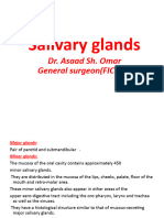 Salivary Glands