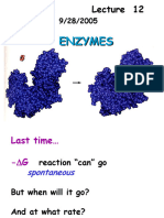 12 Enzymes 9 28 05