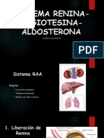 Sistema - Renina Angiotesina Aldoterona
