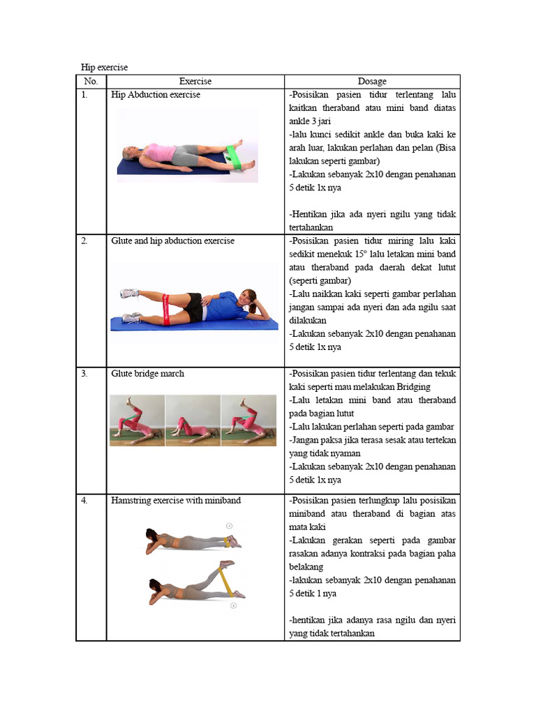 Hip Exercise 1 PDF