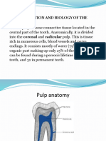 Morphology II - Lecture 4, Built, Function, Biology of Dental Pulp