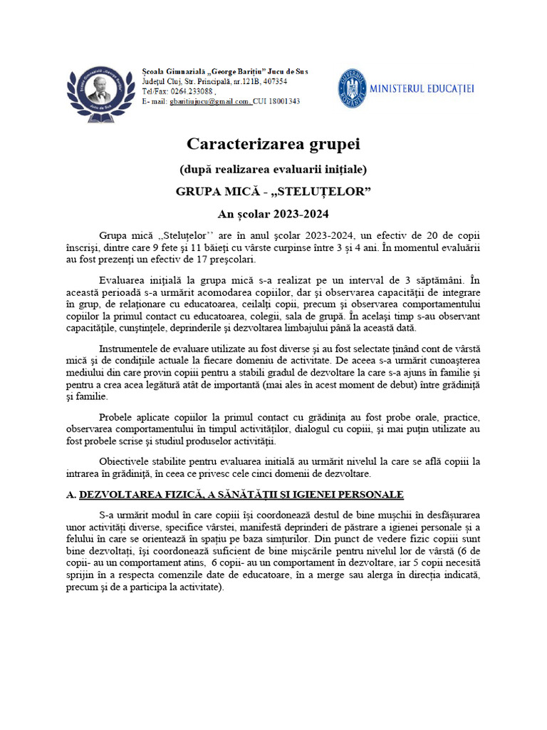 Raport Evaluare Initiala Grupa Mica | PDF