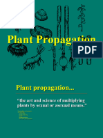 514 Plant Propagation