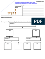 Dichotomous Keys Worksheet 