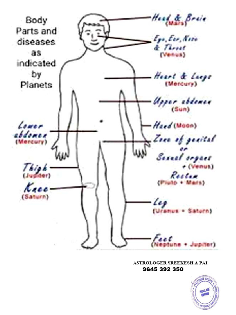 Body Parts PDF