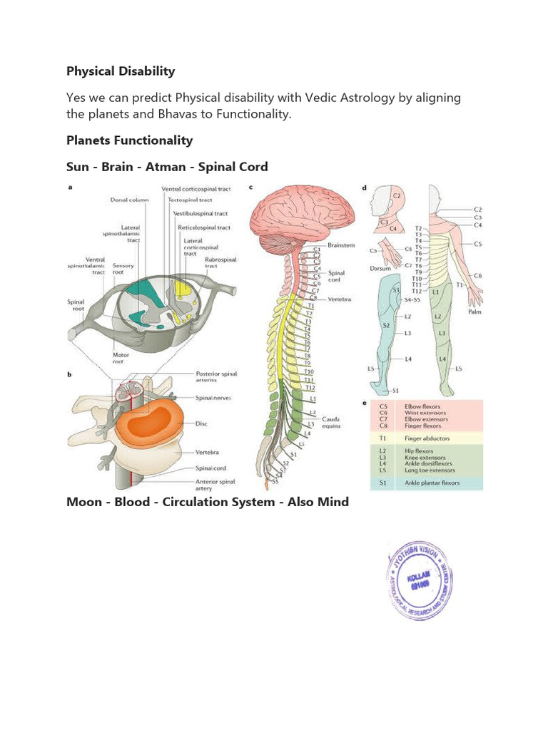 Physical Disability | PDF