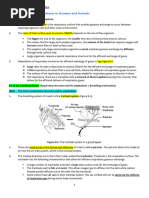 F4Bio (C8) Notes