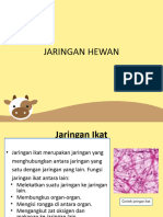 Jaringan Hewan