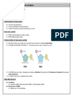 Nengovhela Study Guide