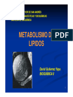 Lipidos Bioquimica