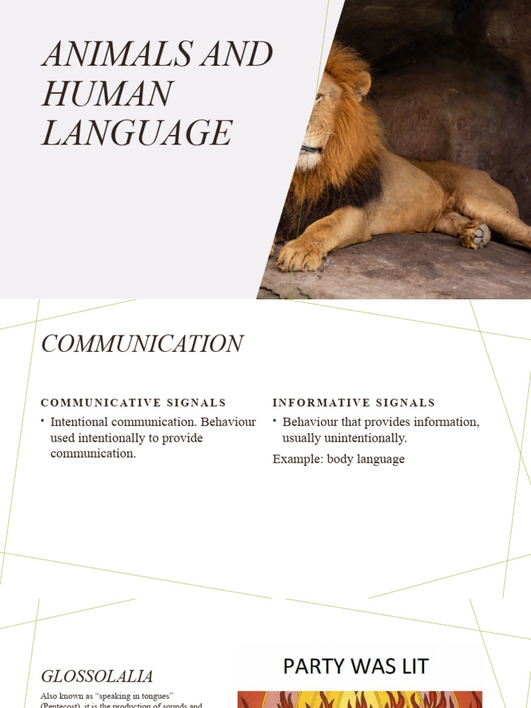 Human vs. Animal Language Traits | PDF | Communication | Linguistics