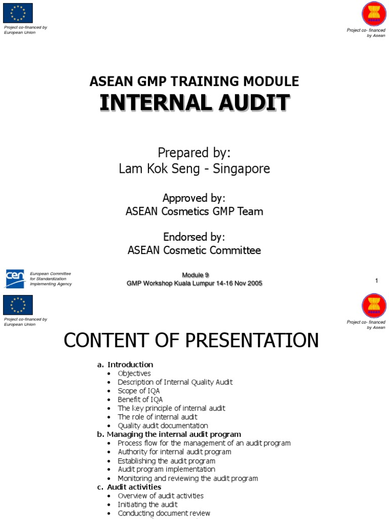 Interna Audit Module | PDF