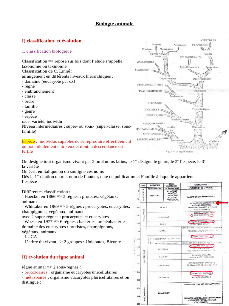 Classification et Évolution des Animaux | PDF | Mollusque | Biologie