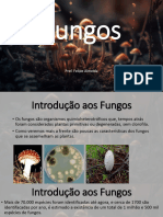 Aula 5 - Fungos
