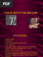 Ecografia Della Colecisti e Delle Vie Biliari