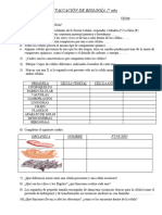 EVALUACIÓN Celula-Organelas 2019