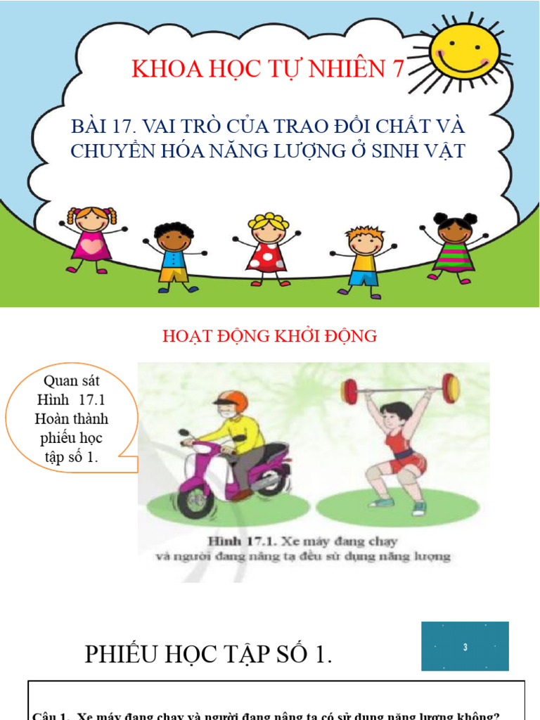 Ga pp khtn 7 canh dieu bai 17 pdf