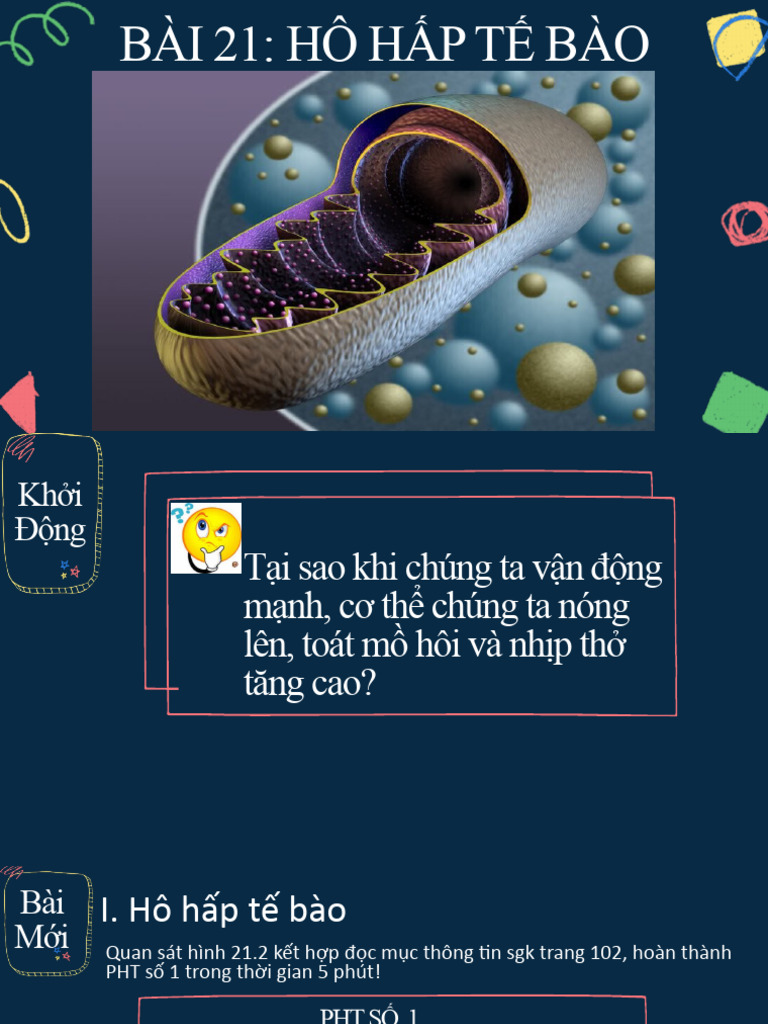 Ga pp khtn 7 cd bai 21 pdf