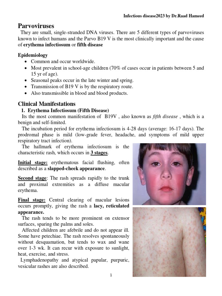 Infectious PDF Infection Medical Specialties