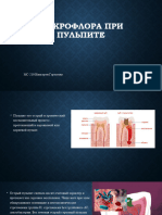 Микробиология