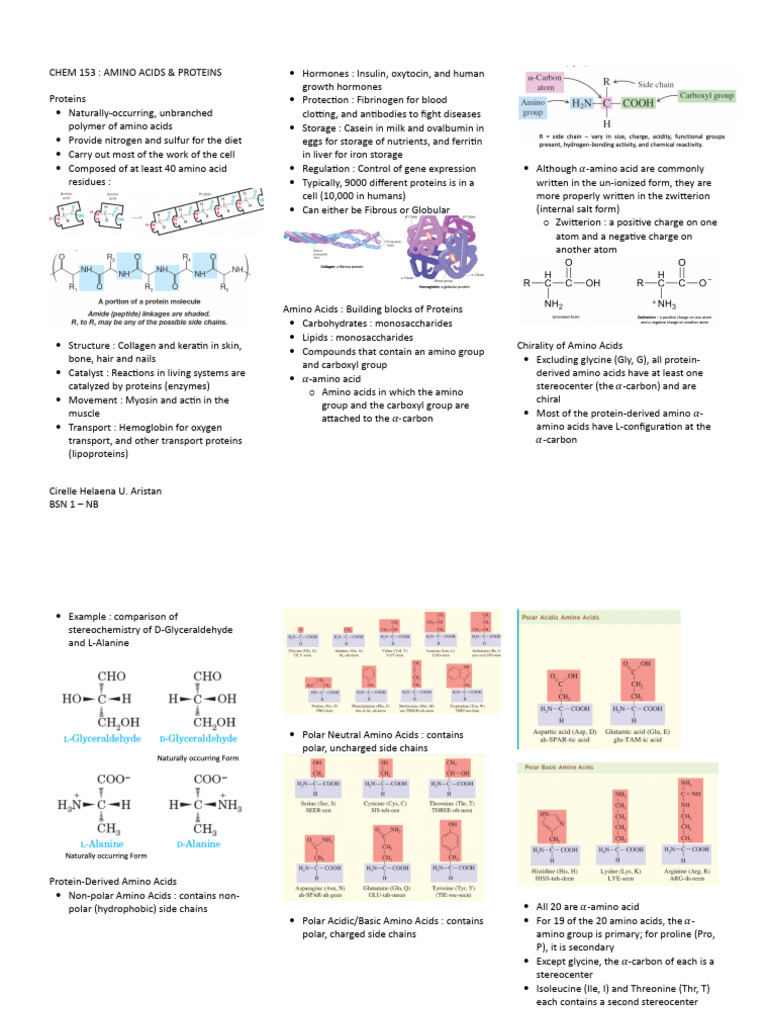 Amino Acids and Proteins | PDF | Amino Acid | Proteins