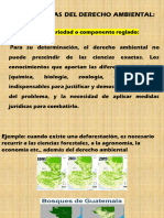 Clase 2 Legislación Ambiental Guatemalteca Caracteristicas Del Derecho