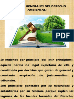 Clase 3 Legislación Ambiental Guatemalteca Principios Del Derecho
