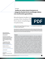 D'Angelo, M. González, A. & Guichón, R. (2023) - Estudios en Restos Óseos Humanos en Patagonia Austral