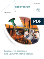 Valve Sealing Program Brochure - Eng