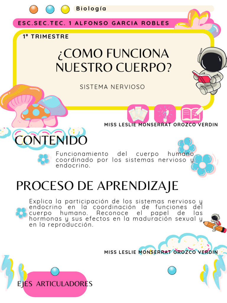 Copia de Como Funciona Nuestro Cuerpo | PDF