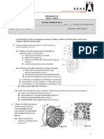 Ficha Formativa 2 12º Reprodução