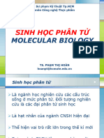 3 Molecular Biology
