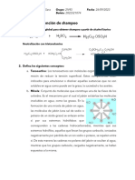 Química de Grupos Funcionales. Examen 2. Shampoo