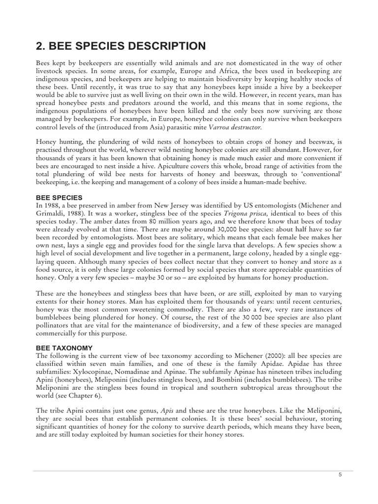 Bee Species Description PDF Honey Bee Western Honey Bee