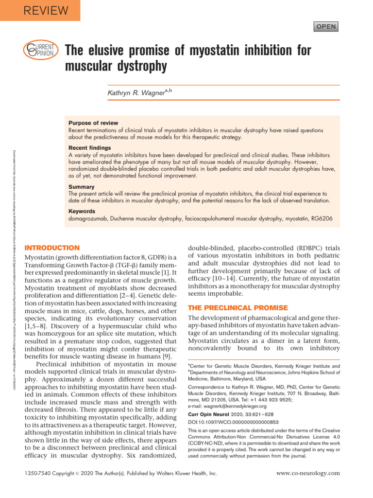 The Elusive Promise of Myostatin Inhibition For.12 | PDF