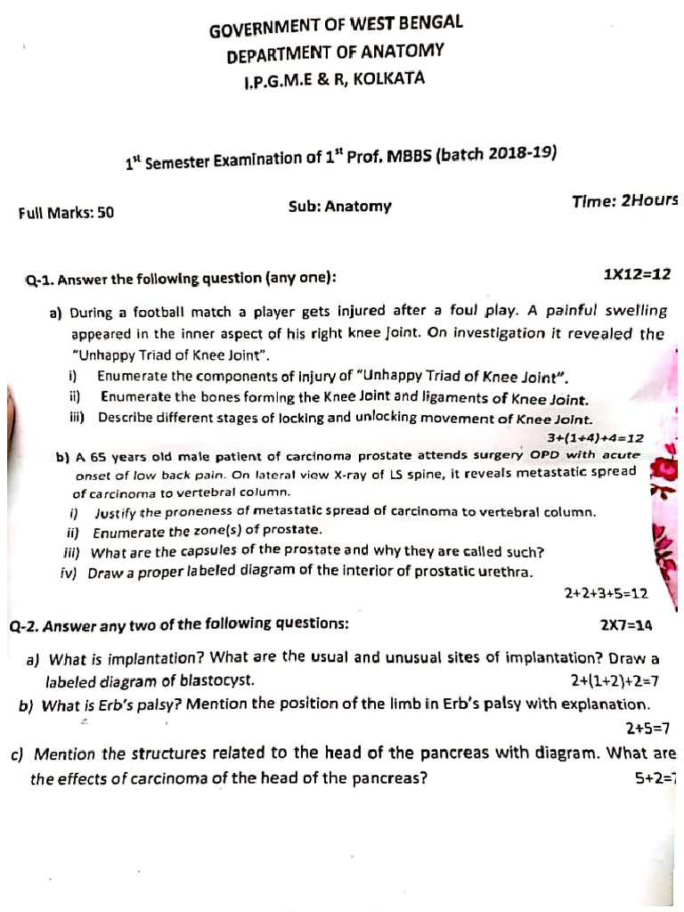 IPGMER 1st Sem Anatomy | PDF