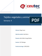 Tarea 4. Tejido Svegetale Sy Animales